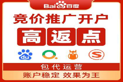 SEM公司案例分析：搜索引擎优化策略与执行